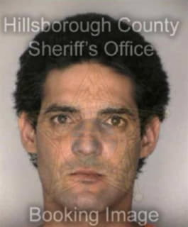 Delgado Ivan - Hillsborough County, Florida 