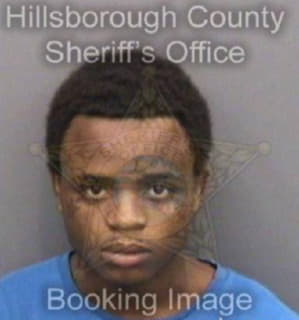 Wilson Ketavious - Hillsborough County, Florida 