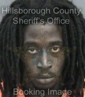 Williams Korey - Hillsborough County, Florida 