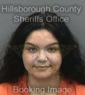 Rodriguez Ailed - Hillsborough County, Florida 