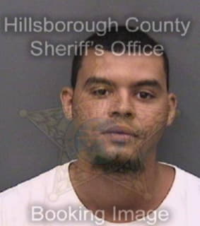 Williams Chazz - Hillsborough County, Florida 