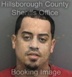 Ortiz Frank - Hillsborough County, Florida 