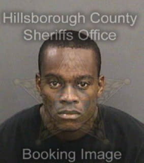 Anderson Michael - Hillsborough County, Florida 