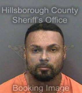 Lozadavargas William - Hillsborough County, Florida 