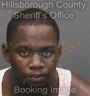 Andrews Arthur - Hillsborough County, Florida 