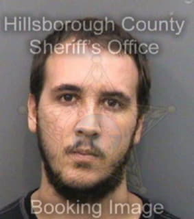 Orsini Christopher - Hillsborough County, Florida 