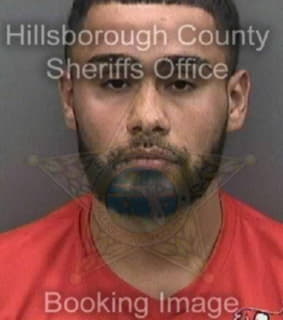 Rivera Felix - Hillsborough County, Florida 