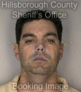 Mcdermott Martin - Hillsborough County, Florida 