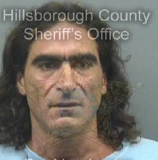 Martineau Raymond - Hillsborough County, Florida 