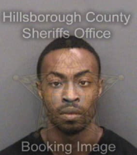 Lee Sampson - Hillsborough County, Florida 