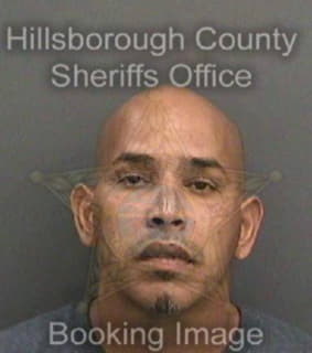 Francoperez Saul - Hillsborough County, Florida 