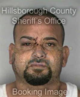 Cruzmuniz Francisco - Hillsborough County, Florida 