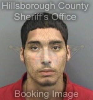 Vasquez Christopher - Hillsborough County, Florida 