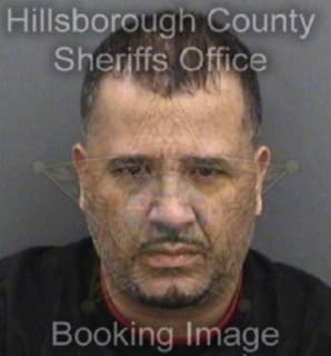 Lopezsantana Josue - Hillsborough County, Florida 