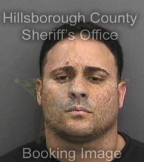 Ortega Josue - Hillsborough County, Florida 