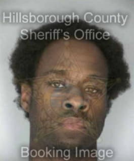 Williams Linzy - Hillsborough County, Florida 