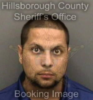 Wiesenberg Paul - Hillsborough County, Florida 