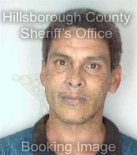 Vargas Carlos - Hillsborough County, Florida 