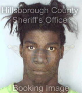 Levy Darrell - Hillsborough County, Florida 