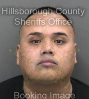 Martinez David - Hillsborough County, Florida 