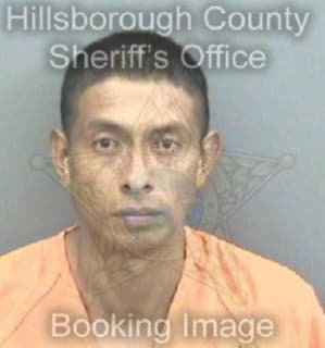 Lopezdeleon Ervin - Hillsborough County, Florida 