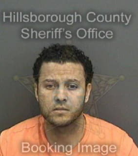 Sawy Mohamed - Hillsborough County, Florida 