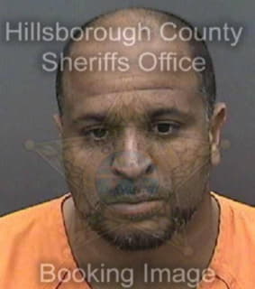 Cesareo Anthony - Hillsborough County, Florida 