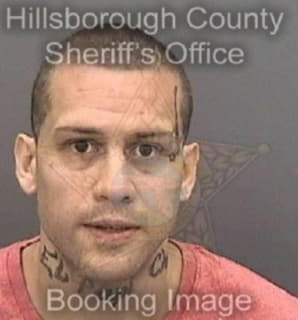 Ruiz Anthony - Hillsborough County, Florida 