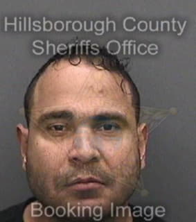 Deleon Josue - Hillsborough County, Florida 