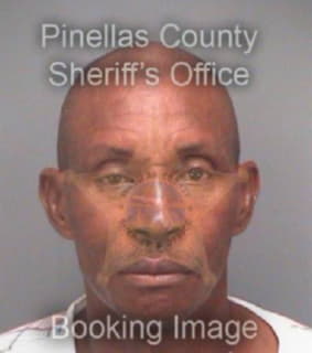 Roberson Michael - Pinellas County, Florida 