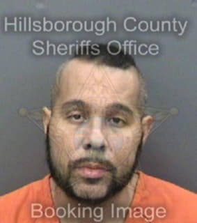 Mickens Patrick - Hillsborough County, Florida 