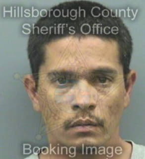 Lopez Robert - Hillsborough County, Florida 