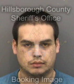 Rosalez Sean - Hillsborough County, Florida 