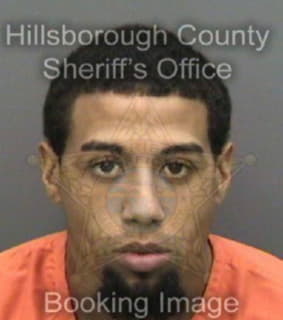 Douglas Bryant - Hillsborough County, Florida 