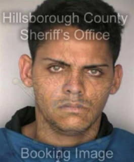 Charneco Eliezer - Hillsborough County, Florida 