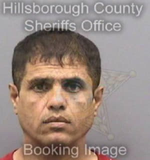 Alfe Hssan - Hillsborough County, Florida 