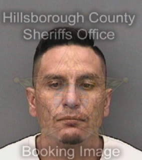 Verahernandez Jose - Hillsborough County, Florida 