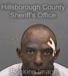 Little Marquise - Hillsborough County, Florida 