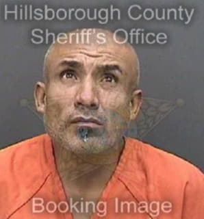 Martinez Alberto - Hillsborough County, Florida 