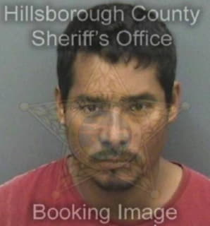 Romeroramon Antonio - Hillsborough County, Florida 