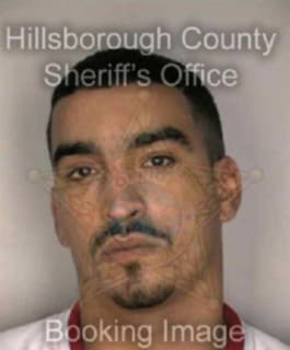 Rosado Christopher - Hillsborough County, Florida 