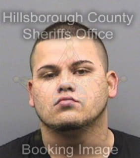 Rodriguez Christopher - Hillsborough County, Florida 