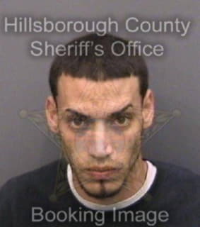 Berriostrinidad Luis - Hillsborough County, Florida 