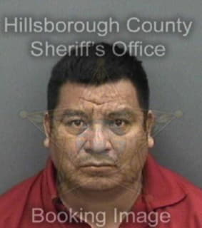 Perezgomez Milagrodejesus - Hillsborough County, Florida 