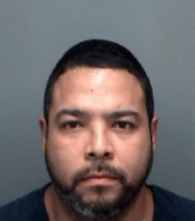 Holland Vincent - Pinellas County, Florida 