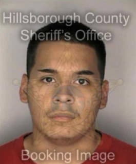 Rodriguez Jose - Hillsborough County, Florida 