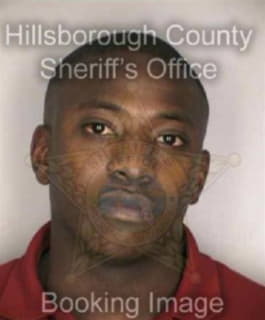 Kirkland Michael - Hillsborough County, Florida 