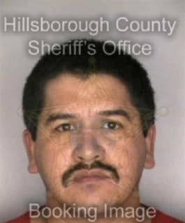 Reyesgutierrez Vincente - Hillsborough County, Florida 