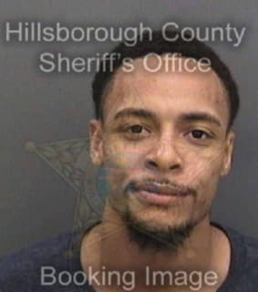 Nieves Anthony - Hillsborough County, Florida 