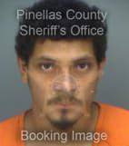 Rogers James - Pinellas County, Florida 